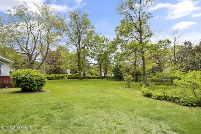 view of green lawn