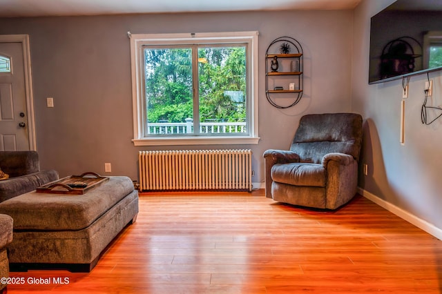 3001 Evelyn Dr, Guilderland, NY 12303 - living area featuring radiator heating unit, wood finished floors, and baseboards