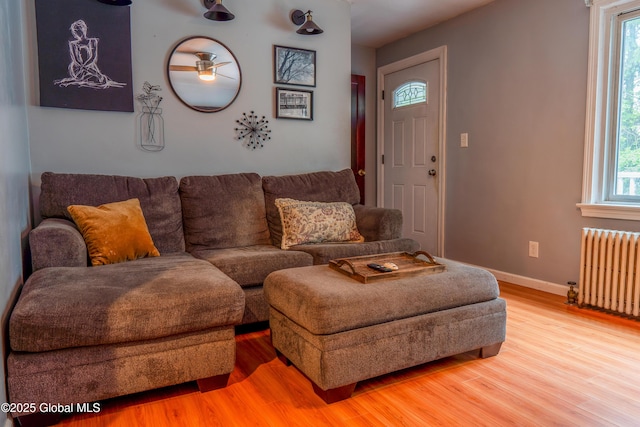 3001 Evelyn Dr, Guilderland, NY 12303 - living room featuring radiator, light wood-style flooring, and baseboards