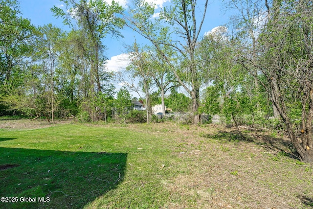 12 Jones Dr, Colonie, NY 12309 - view of yard