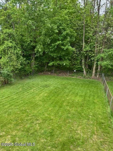 3 Loralee Dr, Colonie Village, NY 12205 - view of yard