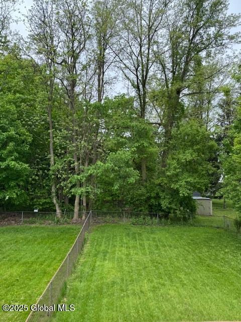 3 Loralee Dr, Colonie Village, NY 12205 - view of yard