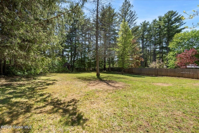 35 Feeder Dam Rd, Moreau, NY 12803 - view of yard