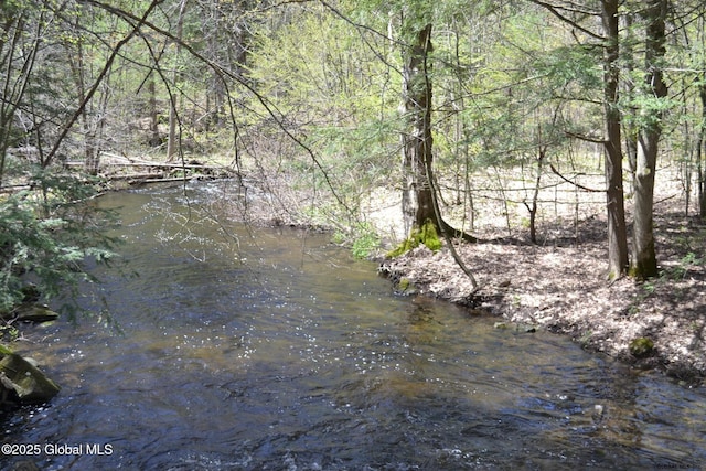 168 Dekalb Rd, Granville, NY 12832 - photo 4