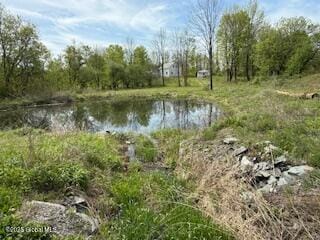 168 Dekalb Rd, Granville, NY 12832 - photo 13