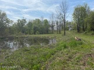 168 Dekalb Rd, Granville, NY 12832 - photo 14