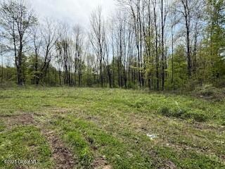 168 Dekalb Rd, Granville, NY 12832 - photo 16