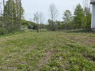 168 Dekalb Rd, Granville, NY 12832 - photo 17