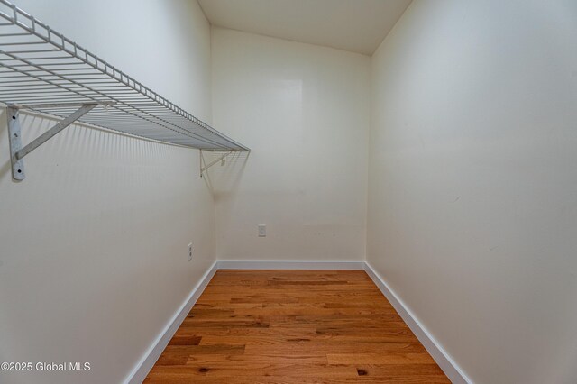 spacious closet featuring light wood-style flooring