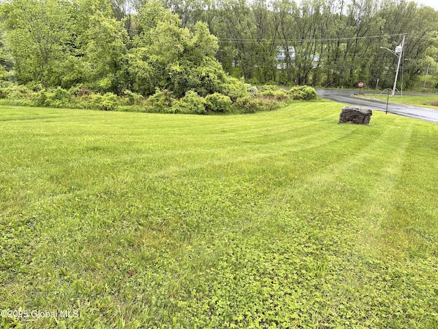 23 Line Dr, Brunswick, NY 12180 - view of grassy yard