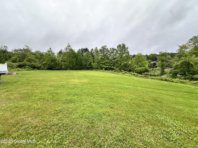 23 Line Dr, Brunswick, NY 12180 - view of green lawn