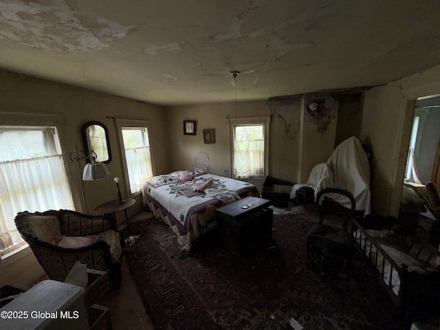 3306 Rte 145, Rensselaerville, NY 12469 - view of bedroom