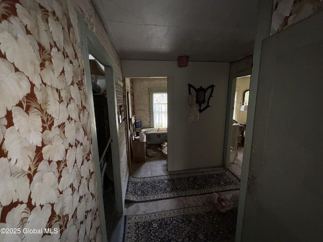 3306 Rte 145, Rensselaerville, NY 12469 - view of corridor
