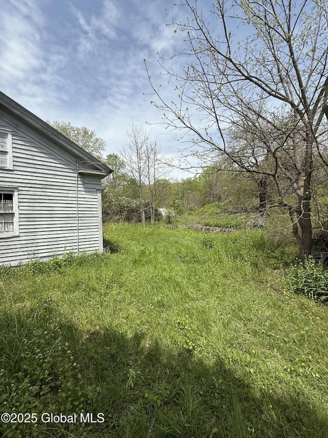 3306 Rte 145, Rensselaerville, NY 12469 - view of yard