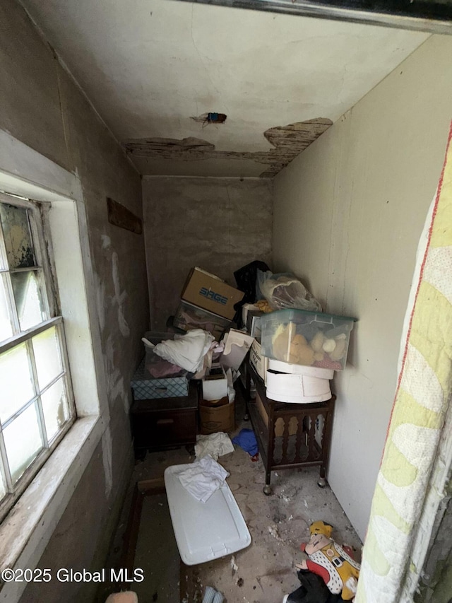 3306 Rte 145, Rensselaerville, NY 12469 - view of storage room