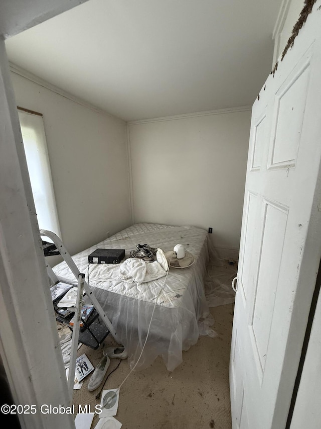 3306 Rte 145, Rensselaerville, NY 12469 - bedroom featuring crown molding