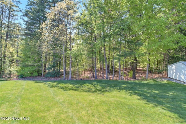 view of green lawn