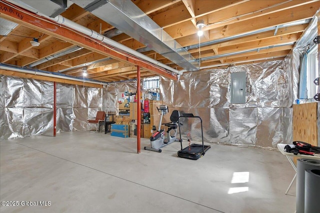 unfinished below grade area with electric panel