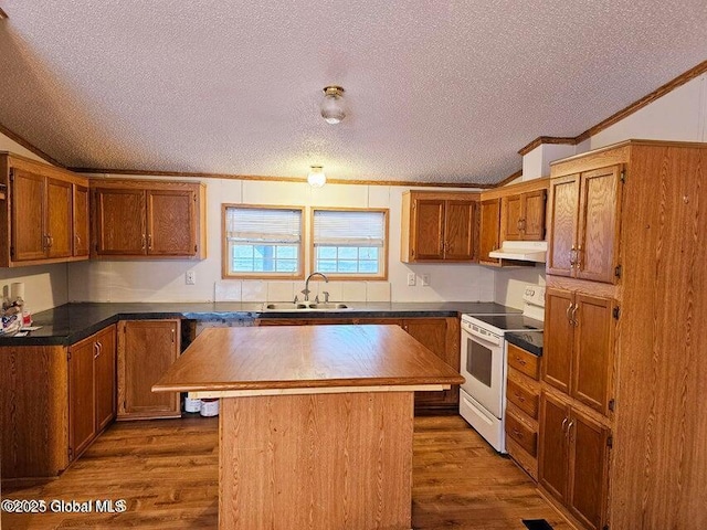 kitchen with electric range, a sink, a textured ceiling, under cabinet range hood, and ornamental molding