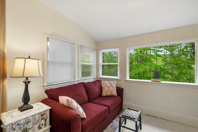 1 High Pines Ter Unit 1C, Chester, NY 12817 - carpeted living area with lofted ceiling and baseboards