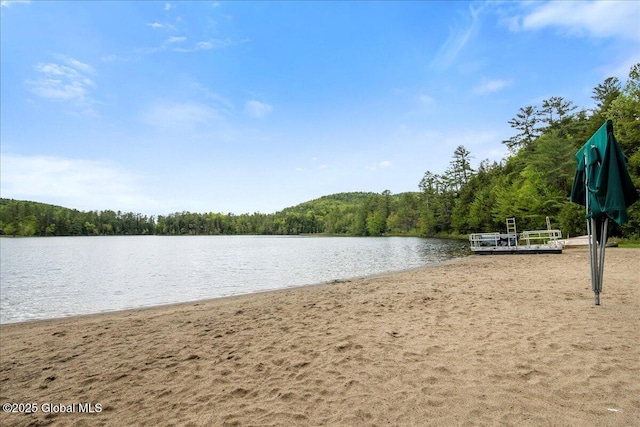 1 High Pines Ter Unit 1C, Chester, NY 12817 - water view with a forest