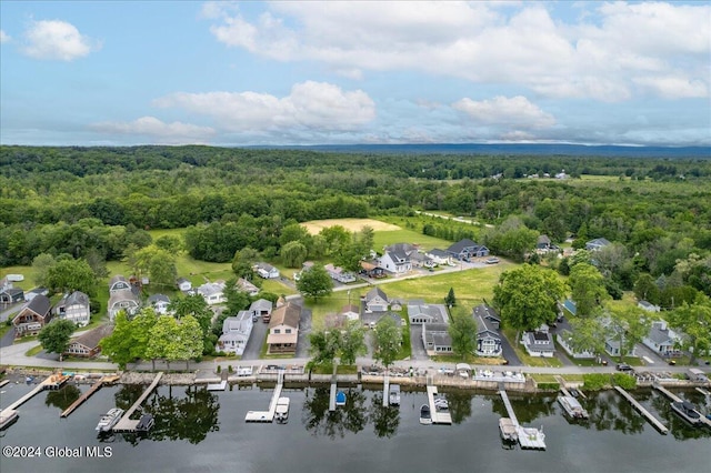 aerial perspective of suburban area featuring a forest and a nearby body of water