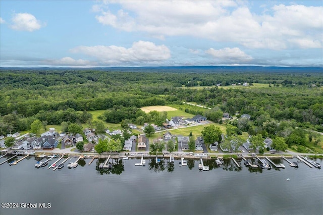 aerial view of a heavily wooded area and a nearby body of water