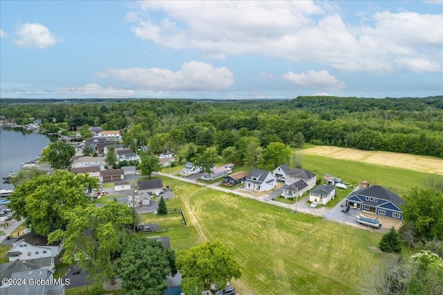 aerial perspective of suburban area featuring a forest