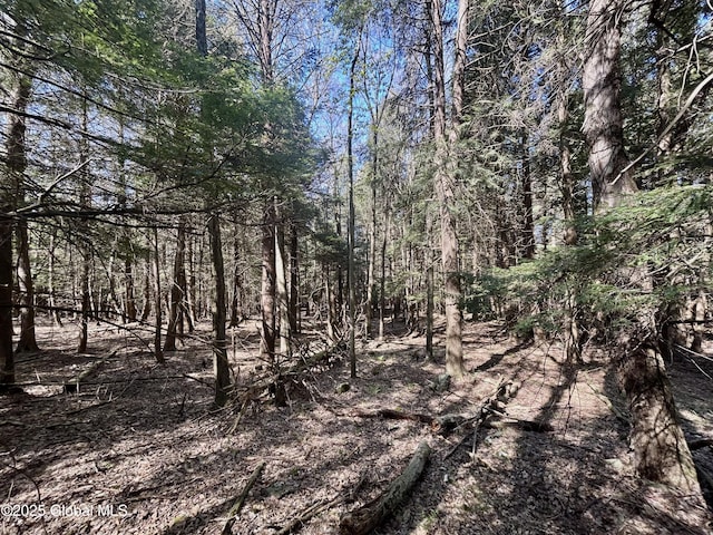 L16 Bruce Porn Rd, Gilboa, NY 12167