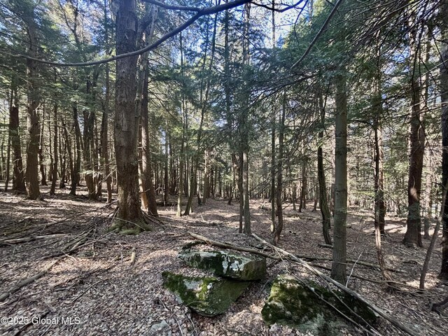 L16 Bruce Porn Rd, Gilboa, NY 12167