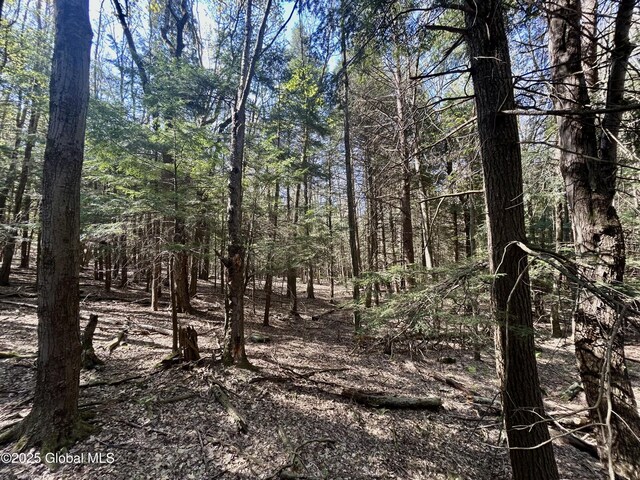 L16 Bruce Porn Rd, Gilboa, NY 12167