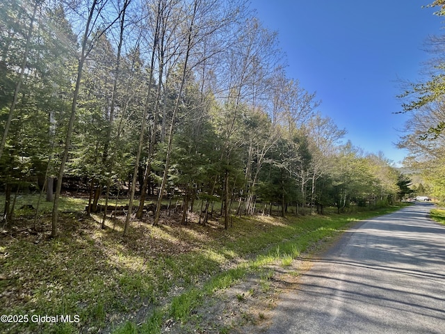 L16 Bruce Porn Rd, Gilboa, NY 12167