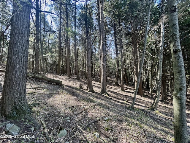 L16 Bruce Porn Rd, Gilboa, NY 12167