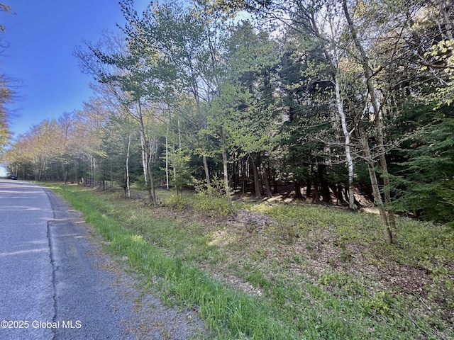 L16 Bruce Porn Rd, Gilboa, NY 12167