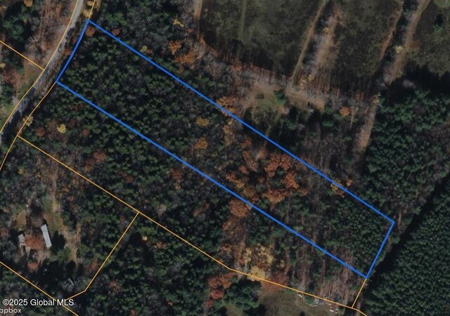 L16 Bruce Porn Rd, Gilboa, NY 12167