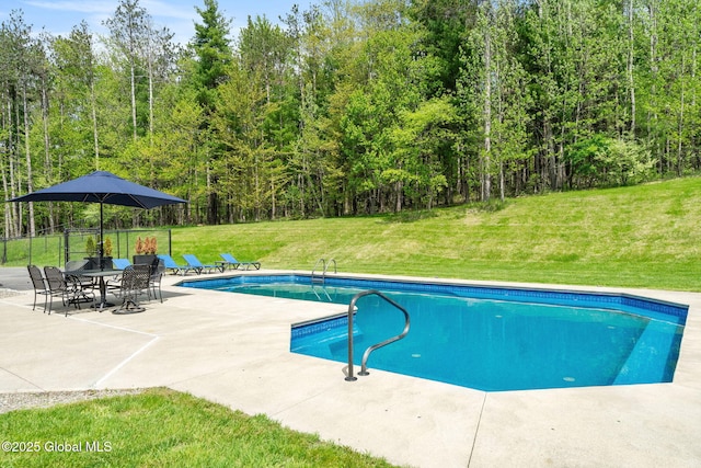 view of pool with a patio
