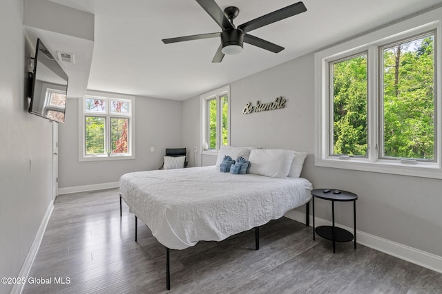 bedroom with baseboards, multiple windows, and wood finished floors