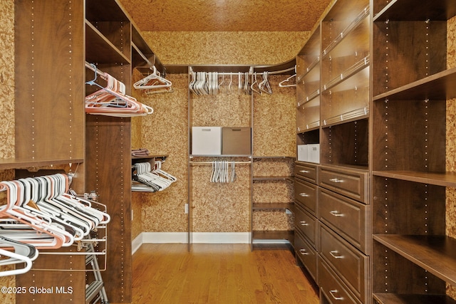 spacious closet featuring wood finished floors