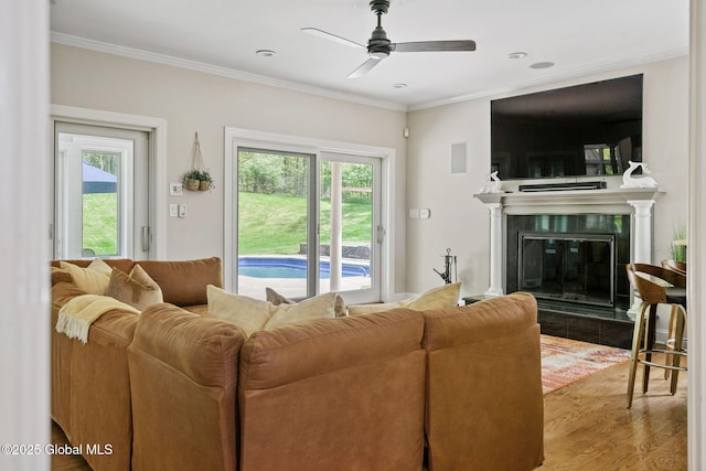 living area with crown molding, wood finished floors, ceiling fan, and a tiled fireplace