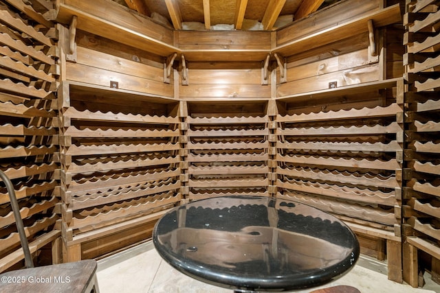view of wine cellar