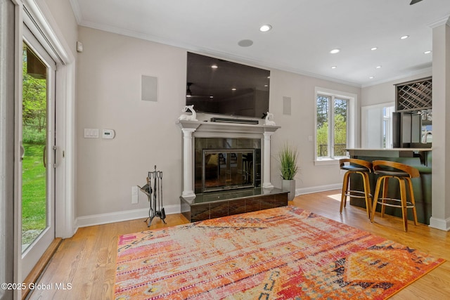 living area with crown molding, baseboards, wood finished floors, recessed lighting, and a fireplace