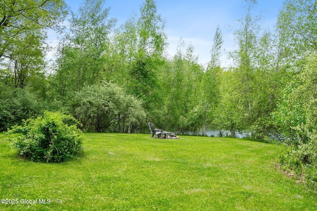 view of grassy yard featuring a forest view