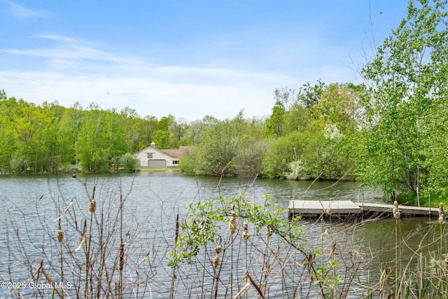 water view with a floating dock