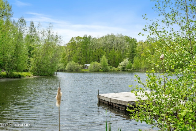 dock area featuring a water view and a forest view