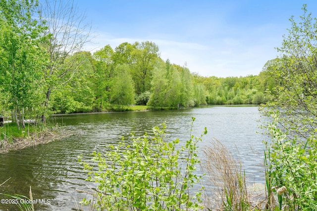 water view featuring a forest