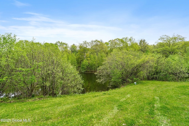 view of yard with a view of trees