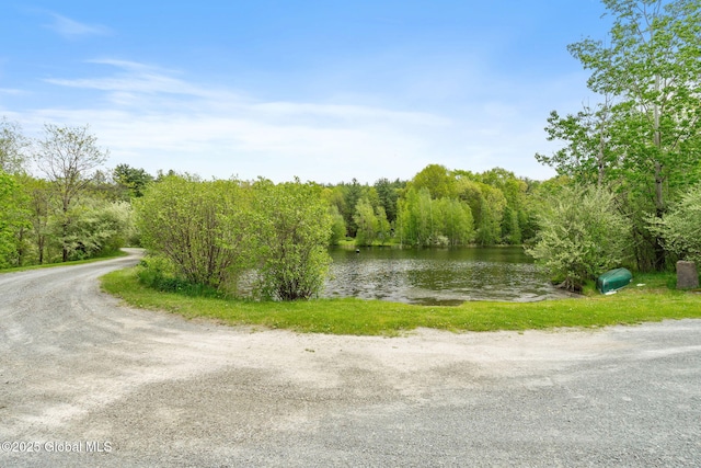view of dirt / gravel road with a water view and a forest view