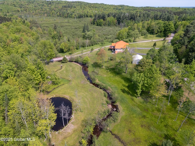 1435 Webster St, Malone, NY 12953 - aerial view of property's location with a forest and a nearby body of water