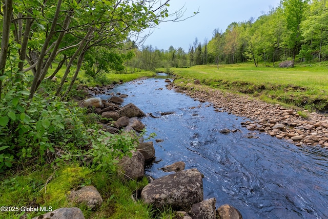 1435 Webster St, Malone, NY 12953 - water view featuring a forest