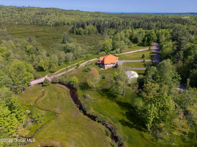 1435 Webster St, Malone, NY 12953 - aerial view of property and surrounding area with a heavily wooded area